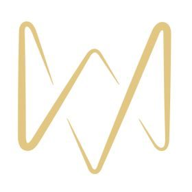 waldmann logo